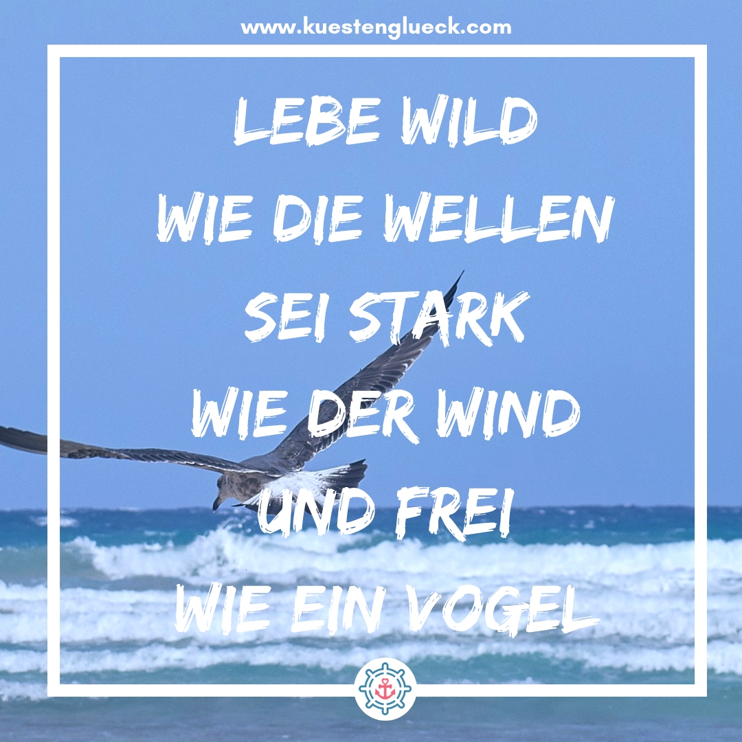Meer Sprüche Lebe wild wie die Wellen, sei stark wie der Wind und frei wie ein Vogel Küstenglück