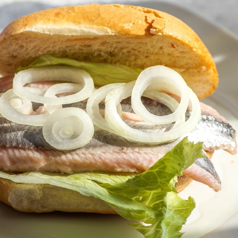 Nordsee Urlaub für Anfänger Küstenglück Fischbrötchen