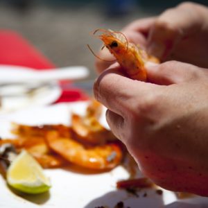 Nordsee Urlaub für Anfänger Küstenglück Krabben puhlen