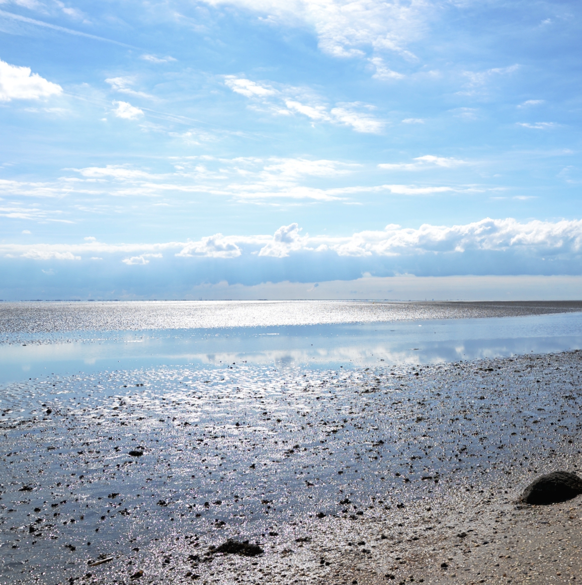 Nordsee Urlaub für Anfänger Küstenglück Meeresgrund