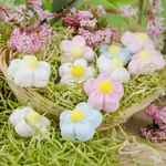 Schaumzucker Blumen Kuestenglueck